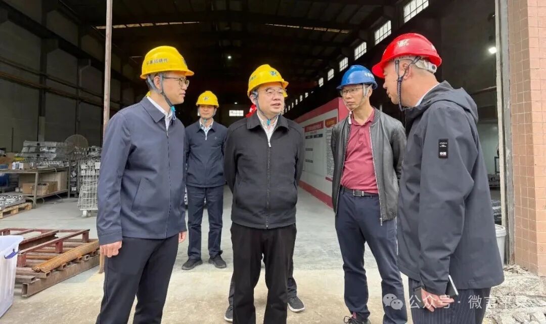 百色市领导到我司调研